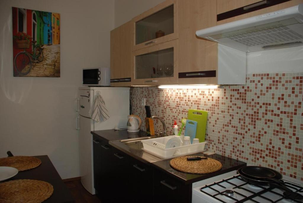 Apartment 5 Min By Walk To The Center 布尔诺 外观 照片
